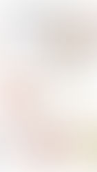 Spring Home Decor Favorites