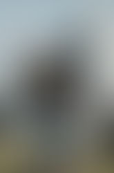 BLANKNYC Star Moto Jacket