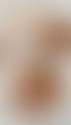 Ugg Slippers from Nordstrom