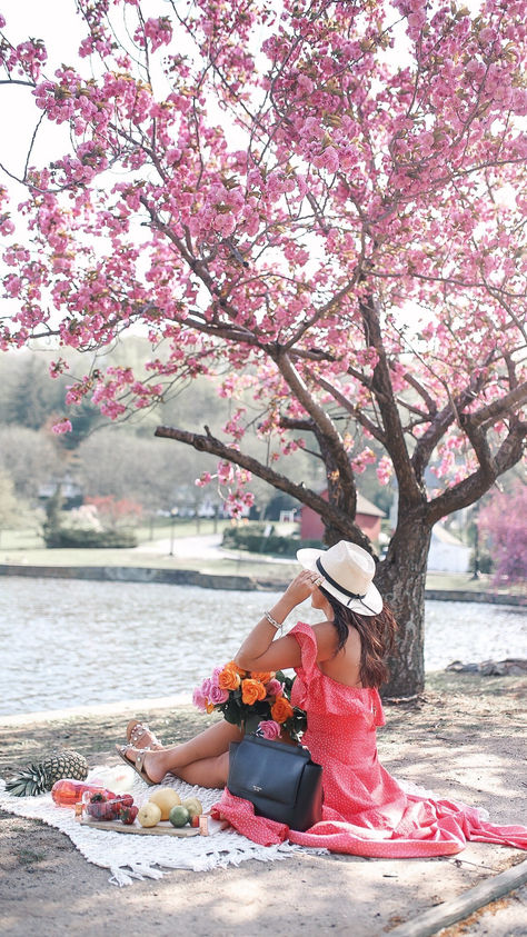 Planning A Hassle Free Picnic With Walmart+