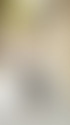 As Far As I Am Concerned Leopard Is Neutral