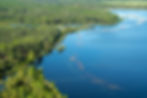 Aerial image of the Florida Everglades shows a swath of lush vegetation, hugged by a body of water.
