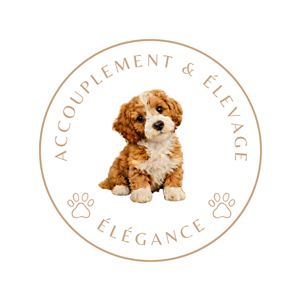 Mes essentiels - mes coups de coeur Amazon 