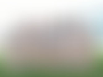 Want to Play Expat Cricket in Dubai?