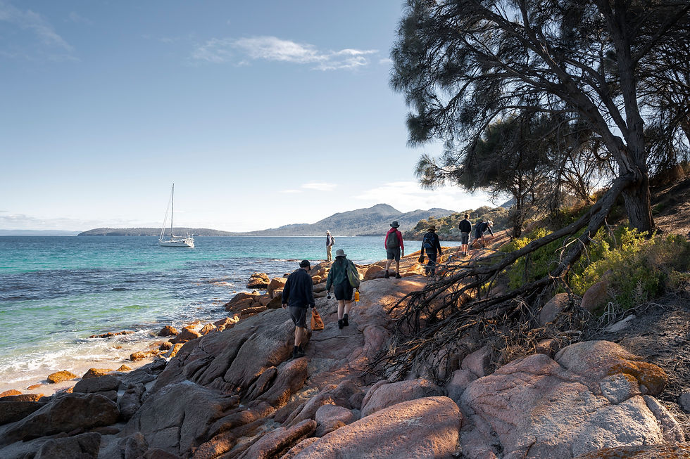 sleepy bay walk tour, freycinet national park, tasmania