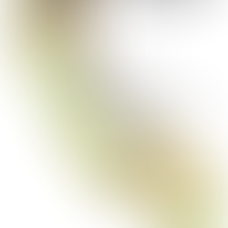 Snowpack Report California January 2026