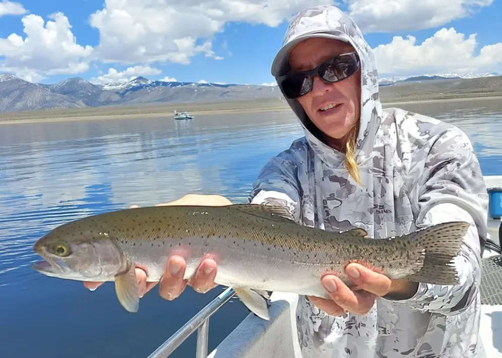 Rainbow Trout on Crowley Lake