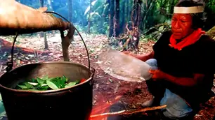 Navigating the Subconscious: Ayahuasca's Risks & Rewards