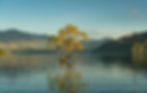 Capture canva5.JPG