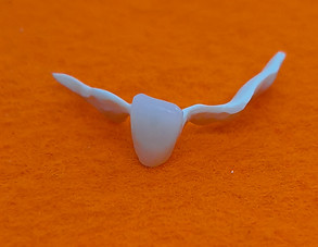 20200904_105557-2.jpg