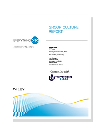 Everything DiSC Group Culture Report.png