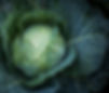 Masifio-34_edited_edited.jpg