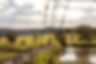 1MTB_Firebikers_0230.jpg