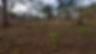 20180609_163337.jpg