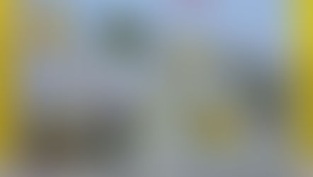  ＜受付中＞4月親子教室【等々力河川敷へＧＯ！】春の宝物フレームを作る：地域のお子様向け