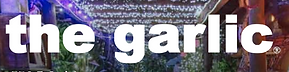 the garlic.png