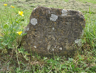 b46.jpg
