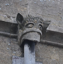 harl8.JPG