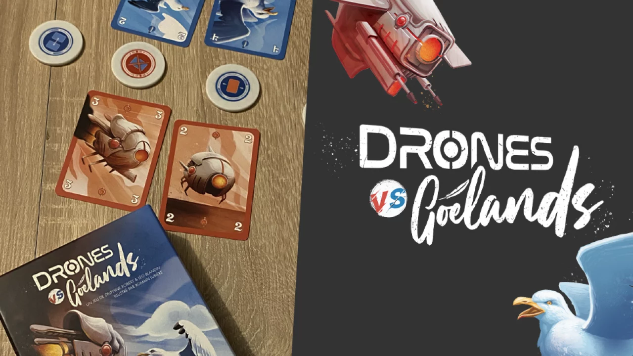 Drone vs. Goelands