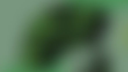 IMeme  [Win/Mac] (Latest)