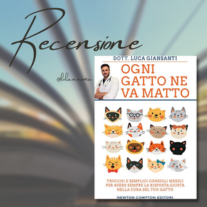"Ogni gatto ne va matto" di Luca Giansanti
