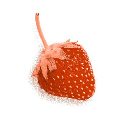 strawberry_mailgif_1.gif
