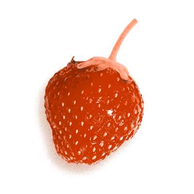 strawberry_mailgif2.gif