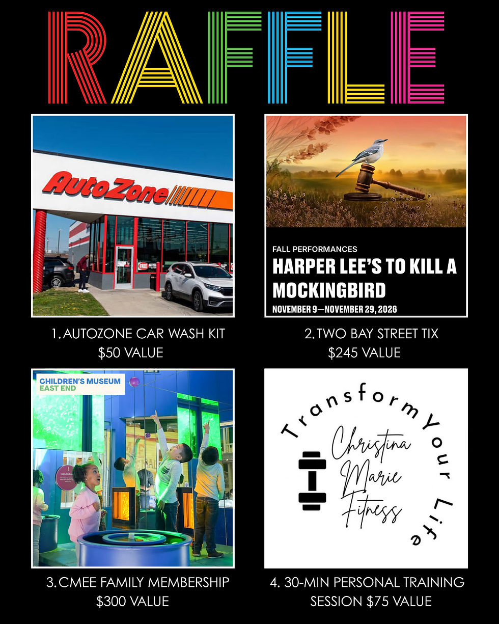 Disco Ball Raffle 2026 - 1