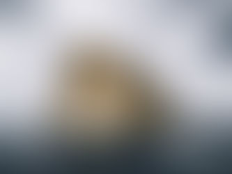 Quitting my wonderful job