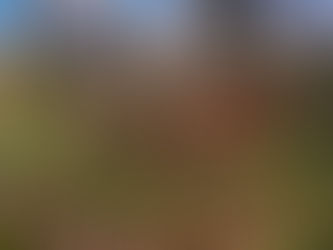 UNA GITA QUASI PASQUALE