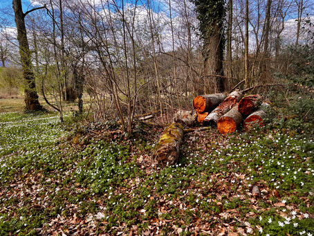 UNA GITA QUASI PASQUALE