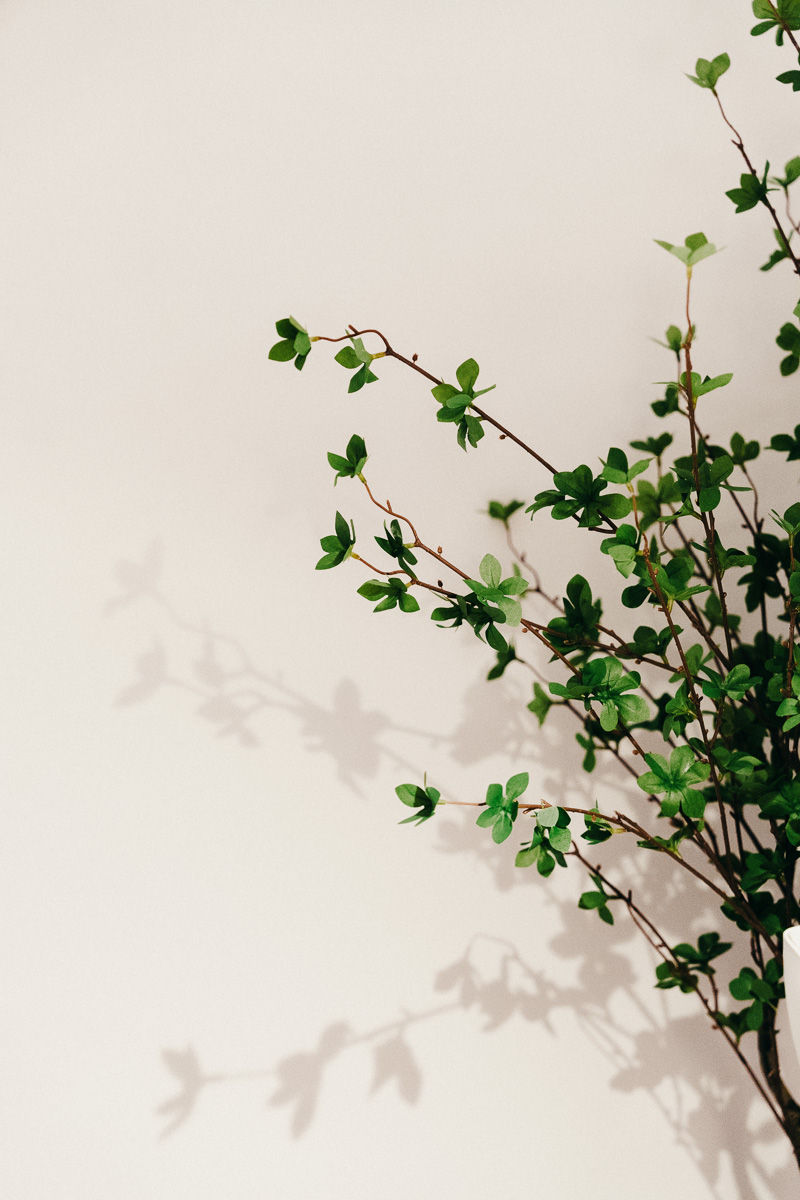 Psychothérapie relationnelle individuelle à Montréal, centrée sur l’expérience vécue