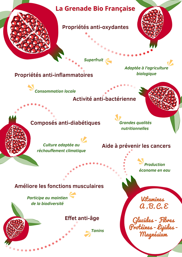 Bienfaits grenade