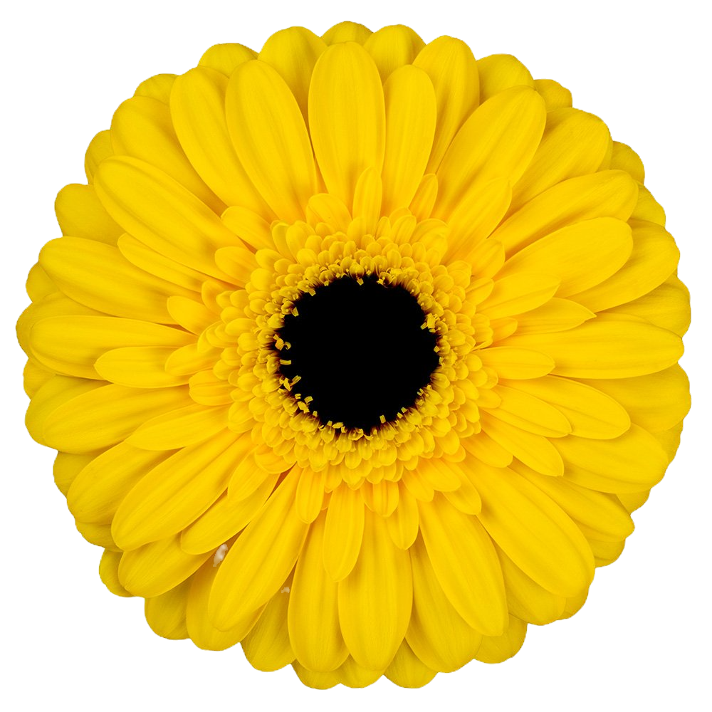 SOLANA