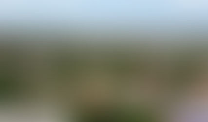 Uma mulher fundou Camaquã?