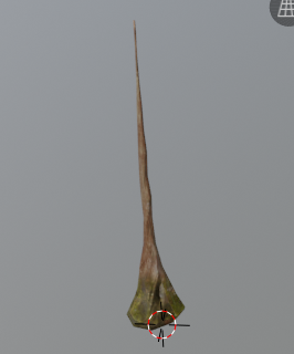ree