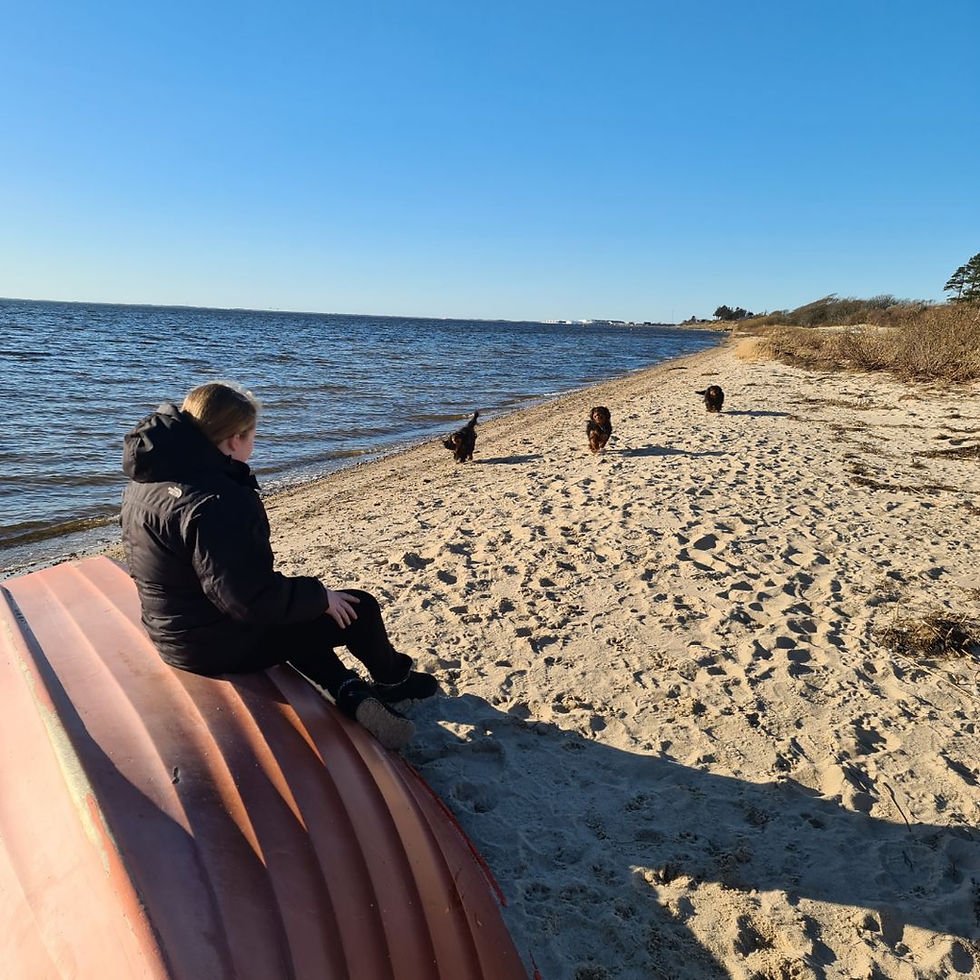 Resized_20230302_153450