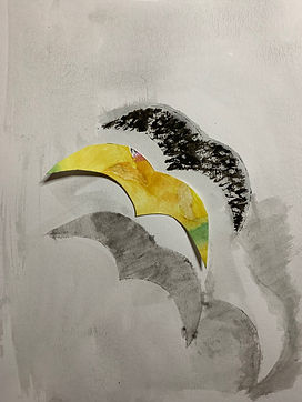 unusedbird.jpeg