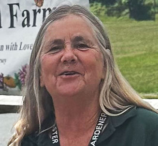 kathy klink website photo copy.jpg
