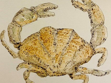 Discovering The Fishery Exchange – Where Art, Ecology and Community Converge