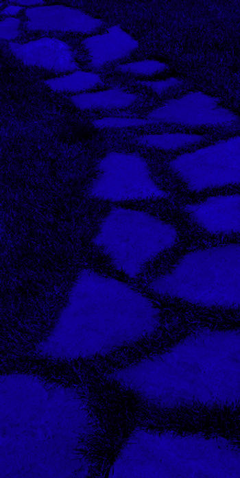 Stone Path_edited_edited.jpg