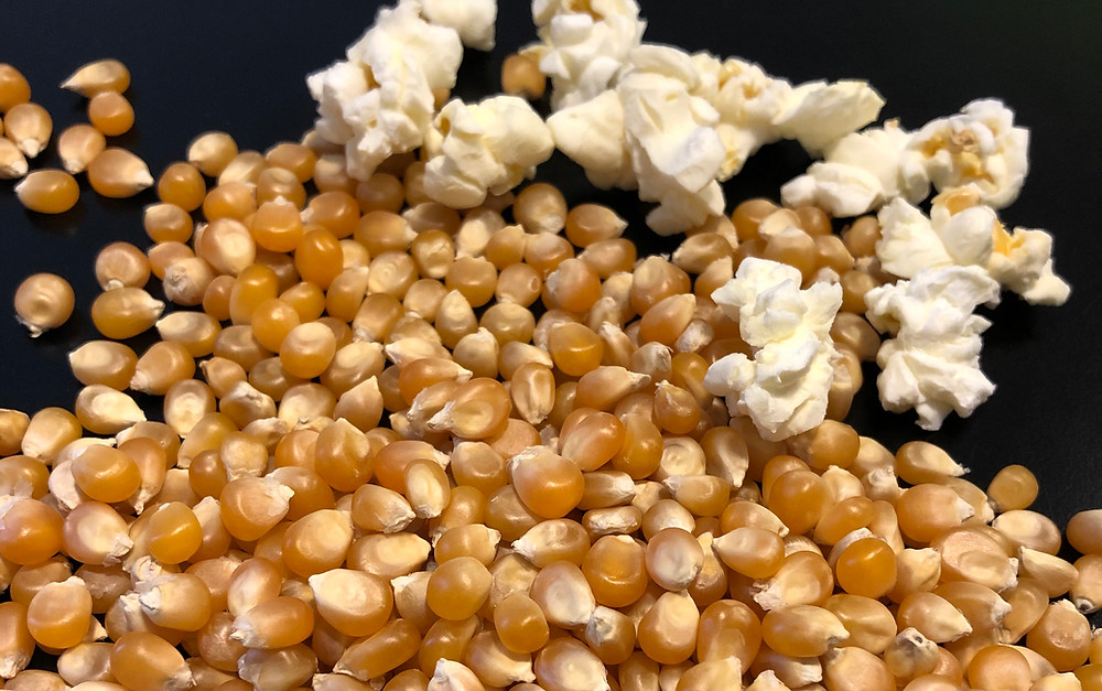Premium butterfly popcorn expansion 40/42