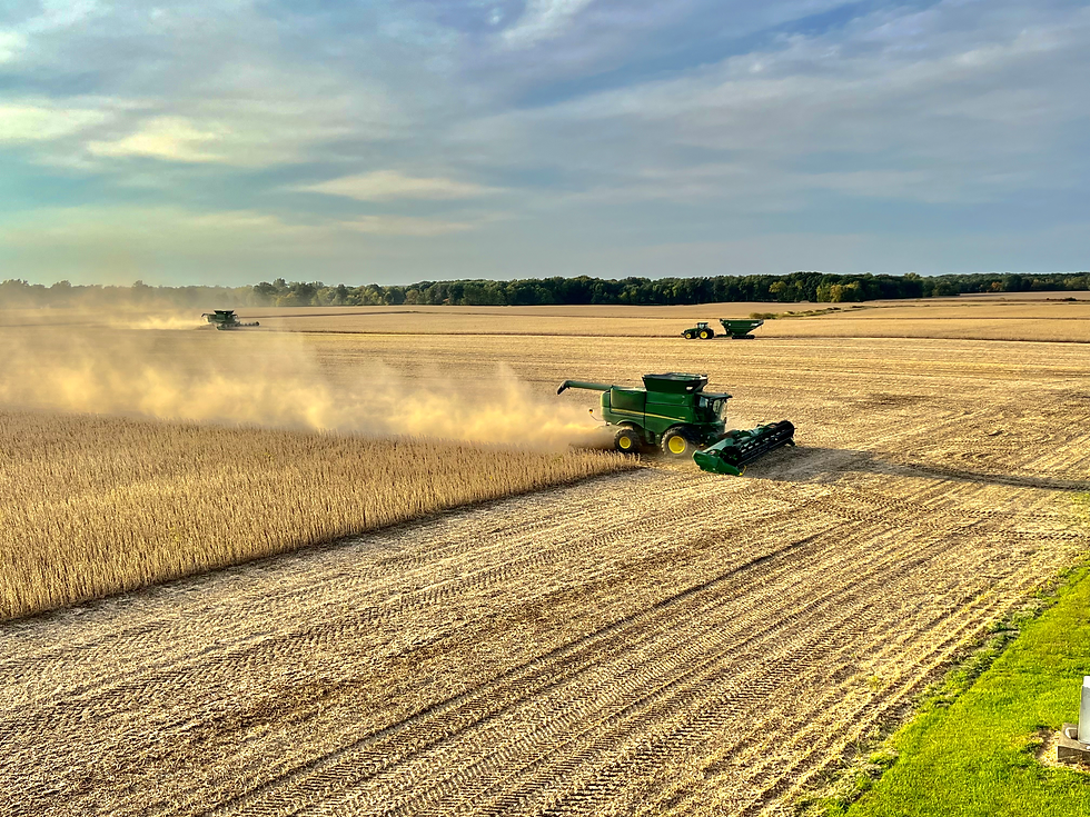 31FC46BD-5410-439B-B149-7539ECF83576_1_201_a