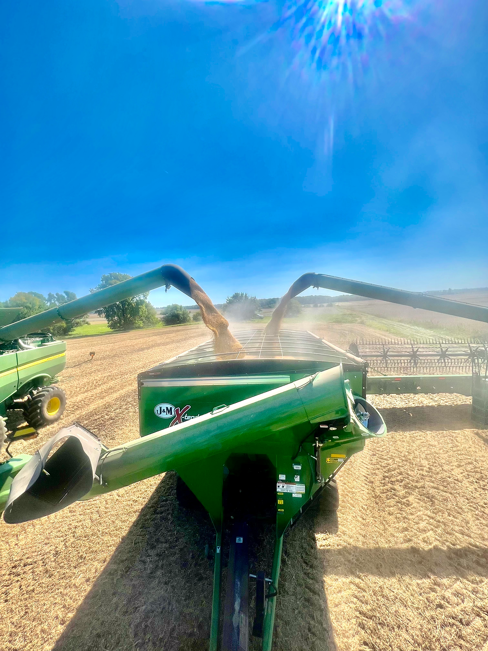 1DD22DD6-0AB6-4B43-BBCF-92223538A28B_1_201_a