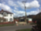 Tree Surgery St Helens