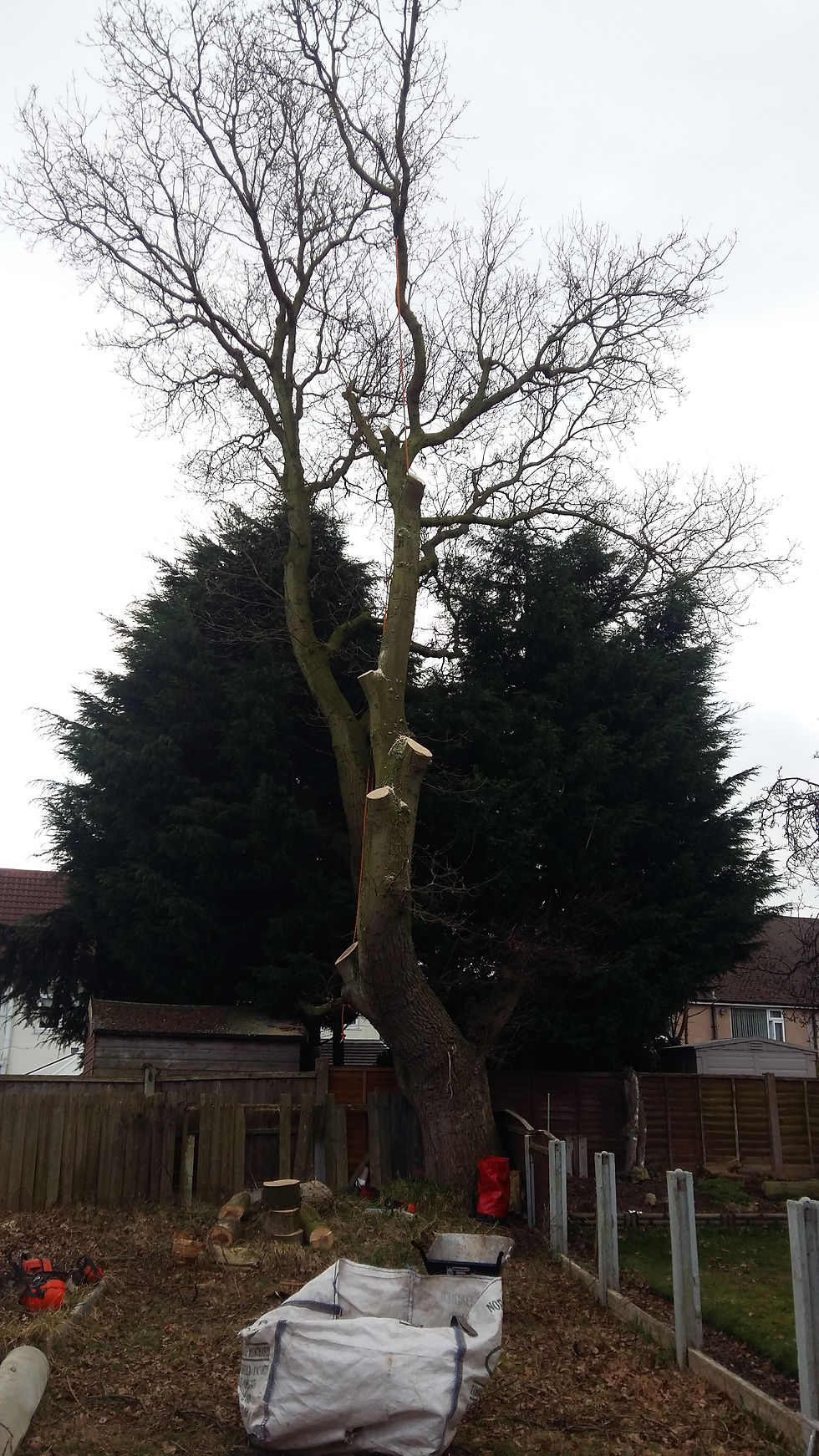 Tree Surgeon Merseyside