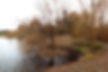 DSCF7625_edited.jpg