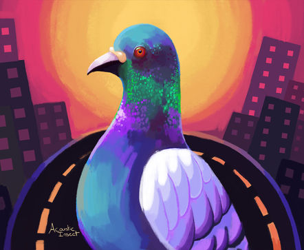 Pidgeon