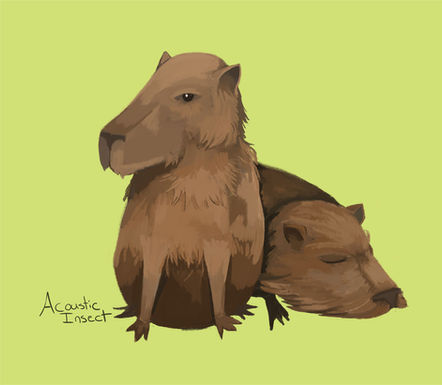 Capybara
