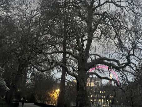 At dusk the big wheel was lit up and turning softly......